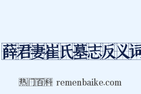 薛君妻崔氏墓志反义词是什么意思的图片